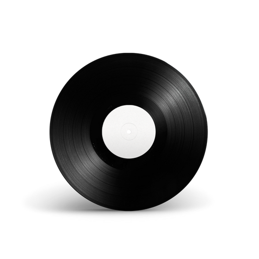 House On Fire - Vinyl Test Pressing